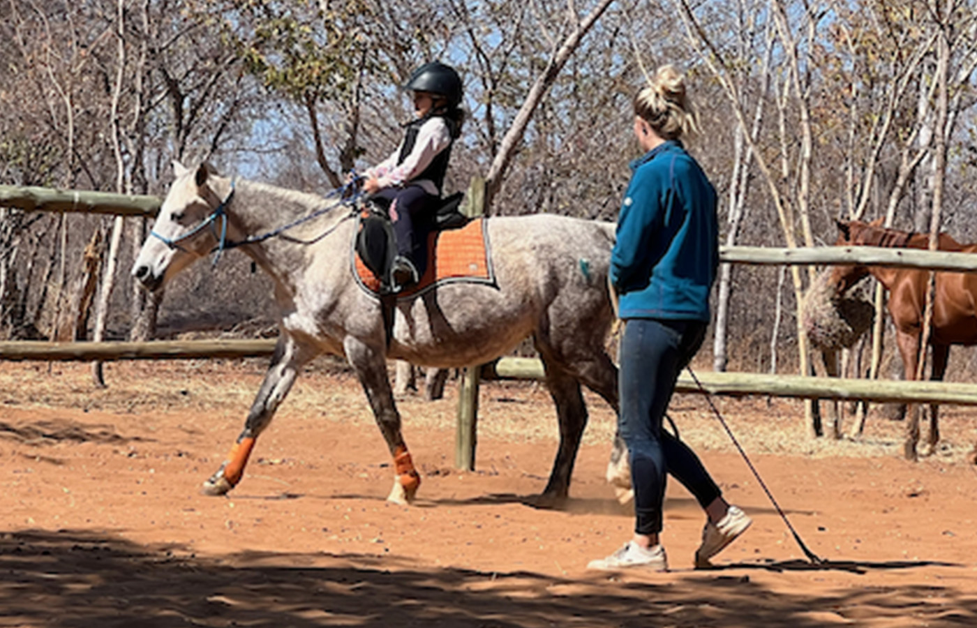 Enchanting Riding Lessons for Children