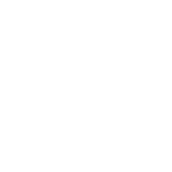 Wild Bhiza Stables Brand