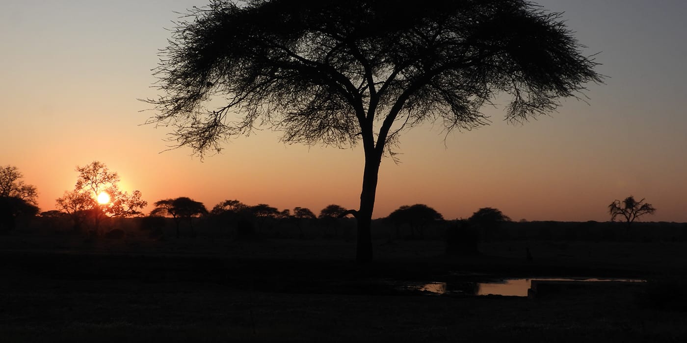 Stunning African sunset with silhouetted acacia tree and waterhole near Victoria Falls, Zimbabwe, showcasing authentic bush landscape