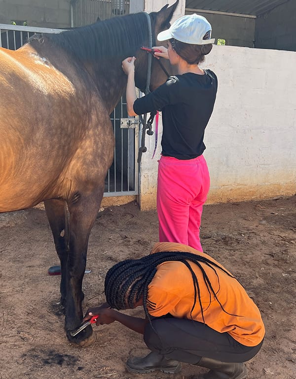 Volunteers Learning New Skills and Teaching the Community at Wild Bhiza Victoria Falls Zimbabwe Wild Bhiza volunteers teaching local youth horse care and riding skills in Chisuma Village near Victoria Falls, Zimbabwe, showing community education and empowerment